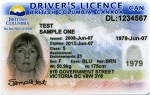 BC driver's licence example