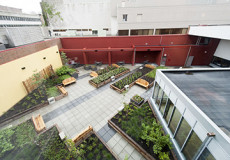 Elevated view of The View's urban garden with flower beds